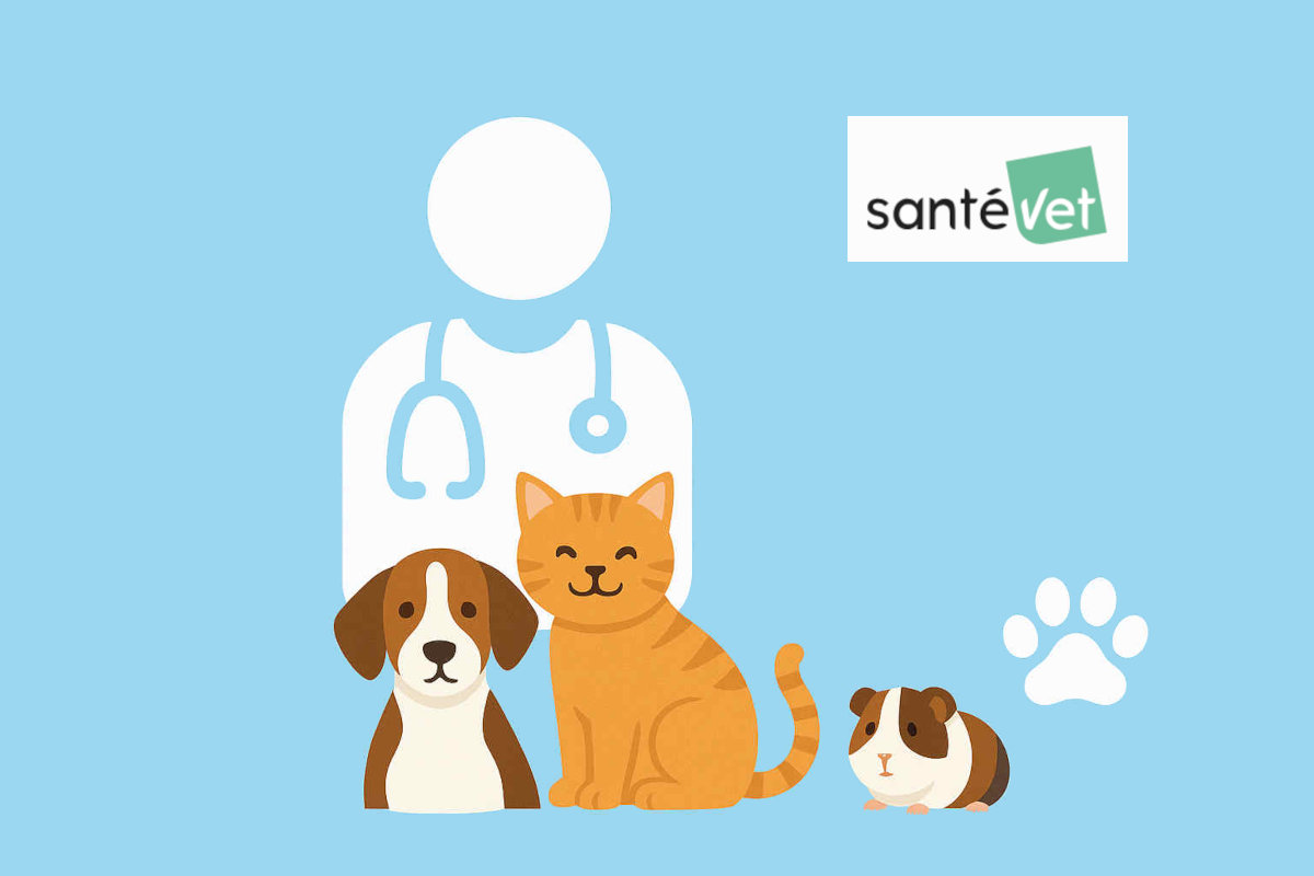 Avis Santévet : Que vaut cette mutuelle pour animaux en 2025 ?