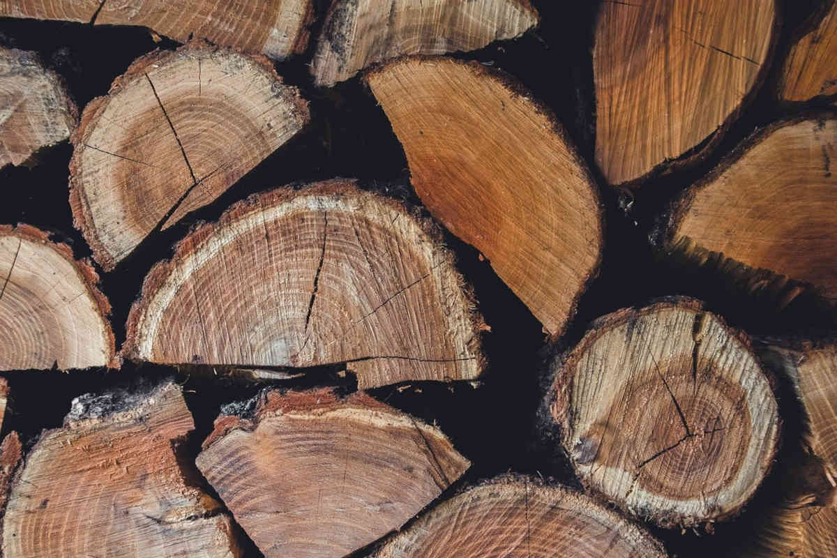 Le charme du bois naturel : entre authenticité, modernité et valorisation des espaces