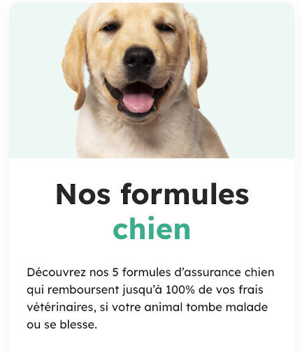 formule chien santevet