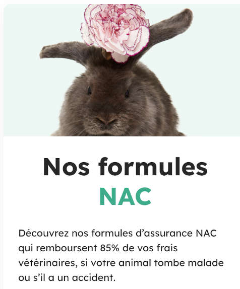 formule NAC santevet