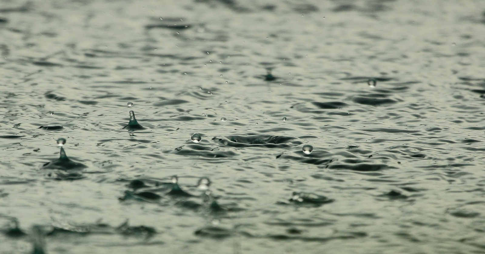 Comment récupérer l'eau de pluie ? Nos solutions