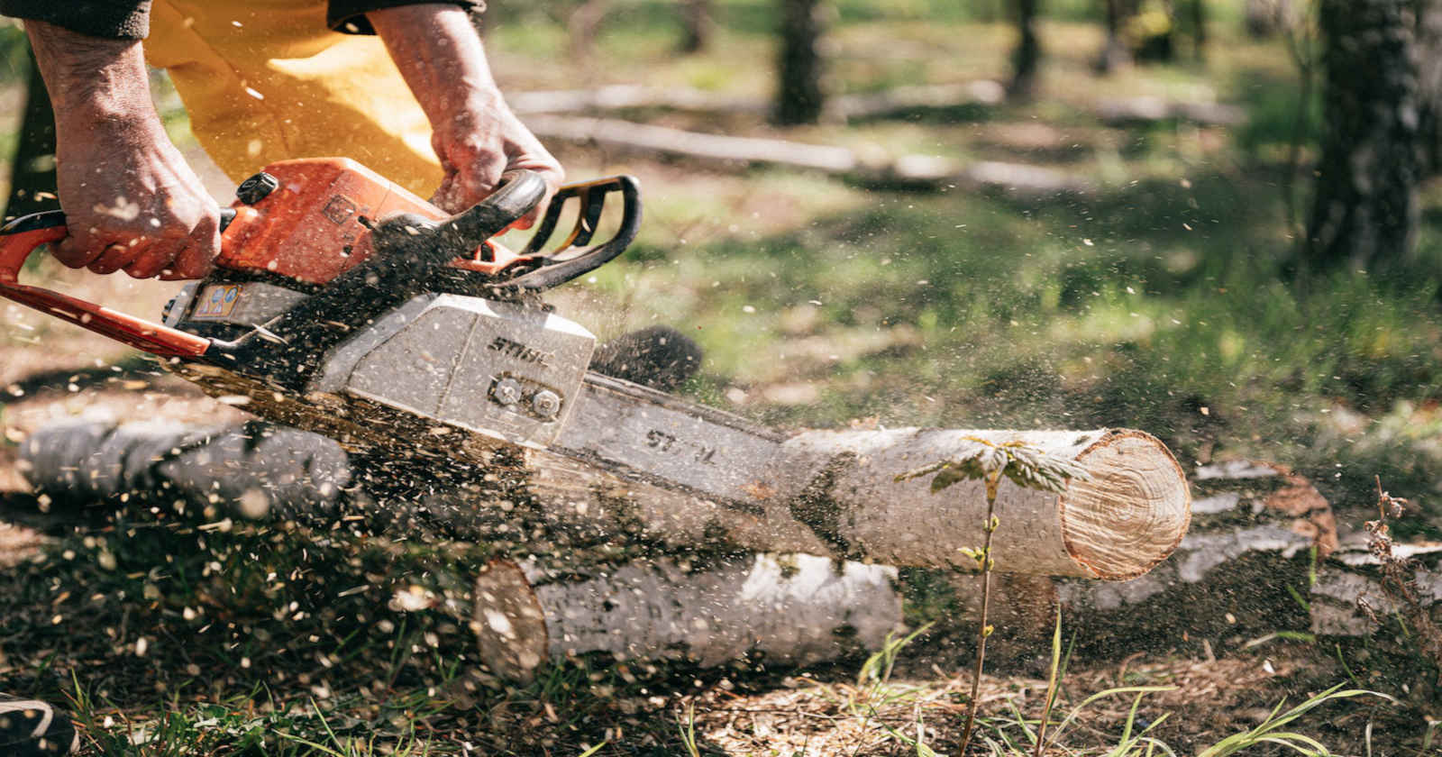 Vente de tronçonneuse d'élagage outil de coupe et entretien jardin