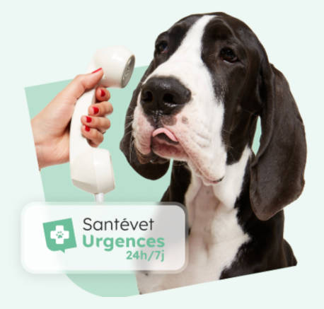 Urgence santevet